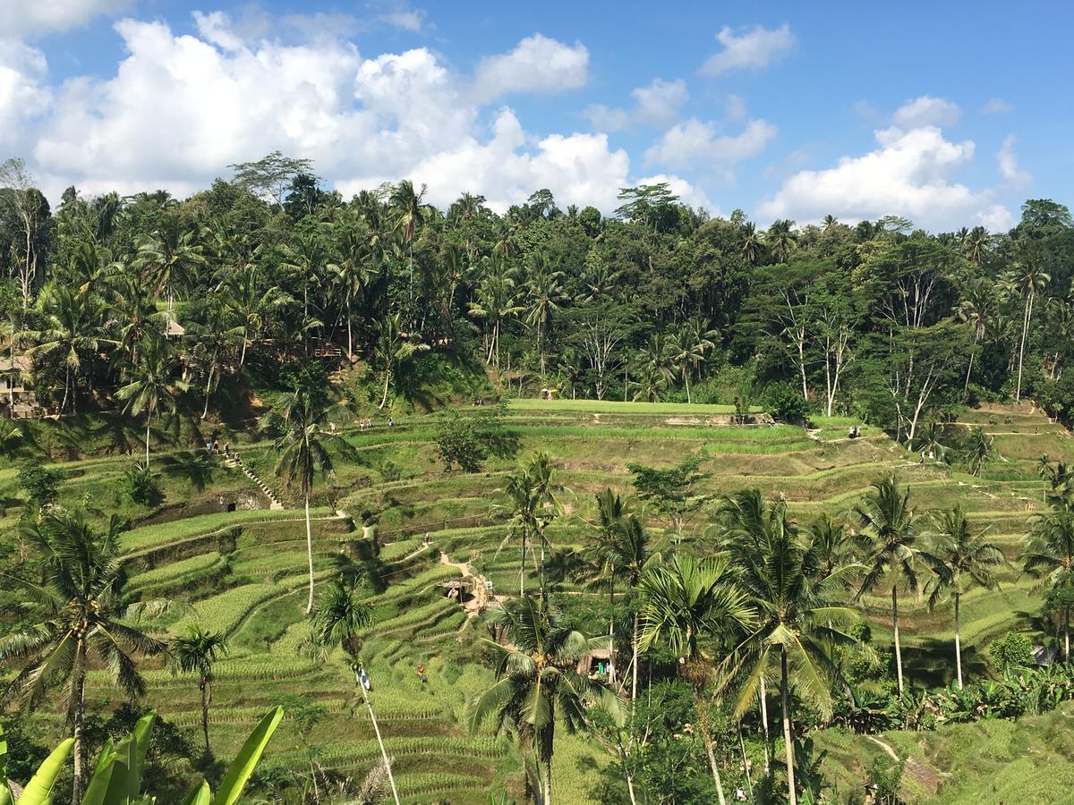 Villa Maha Ubud Buitenkant foto